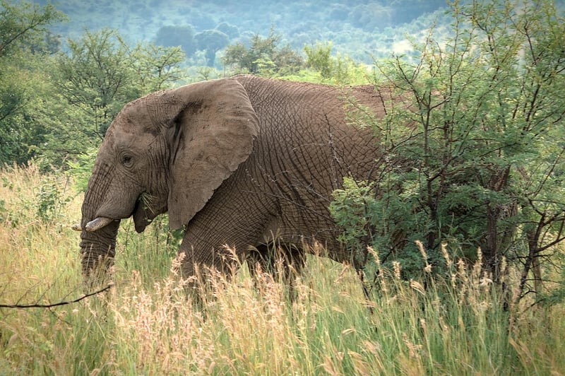 Serengeti National Park